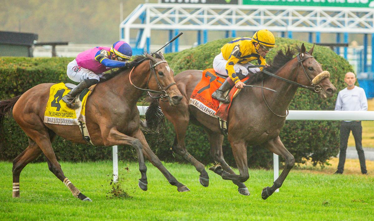 Far Bridge, Joe Hirsch, Eclipse Sportswire